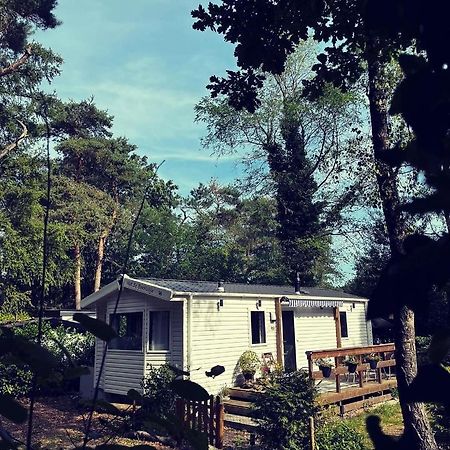 Knus Chalet Midden In De Bossen 넌스피트 외부 사진