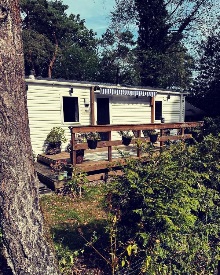 Knus Chalet Midden In De Bossen 넌스피트 외부 사진