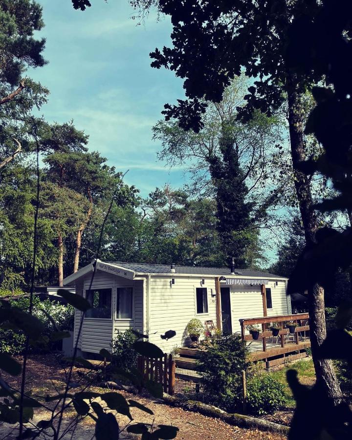Knus Chalet Midden In De Bossen 넌스피트 외부 사진